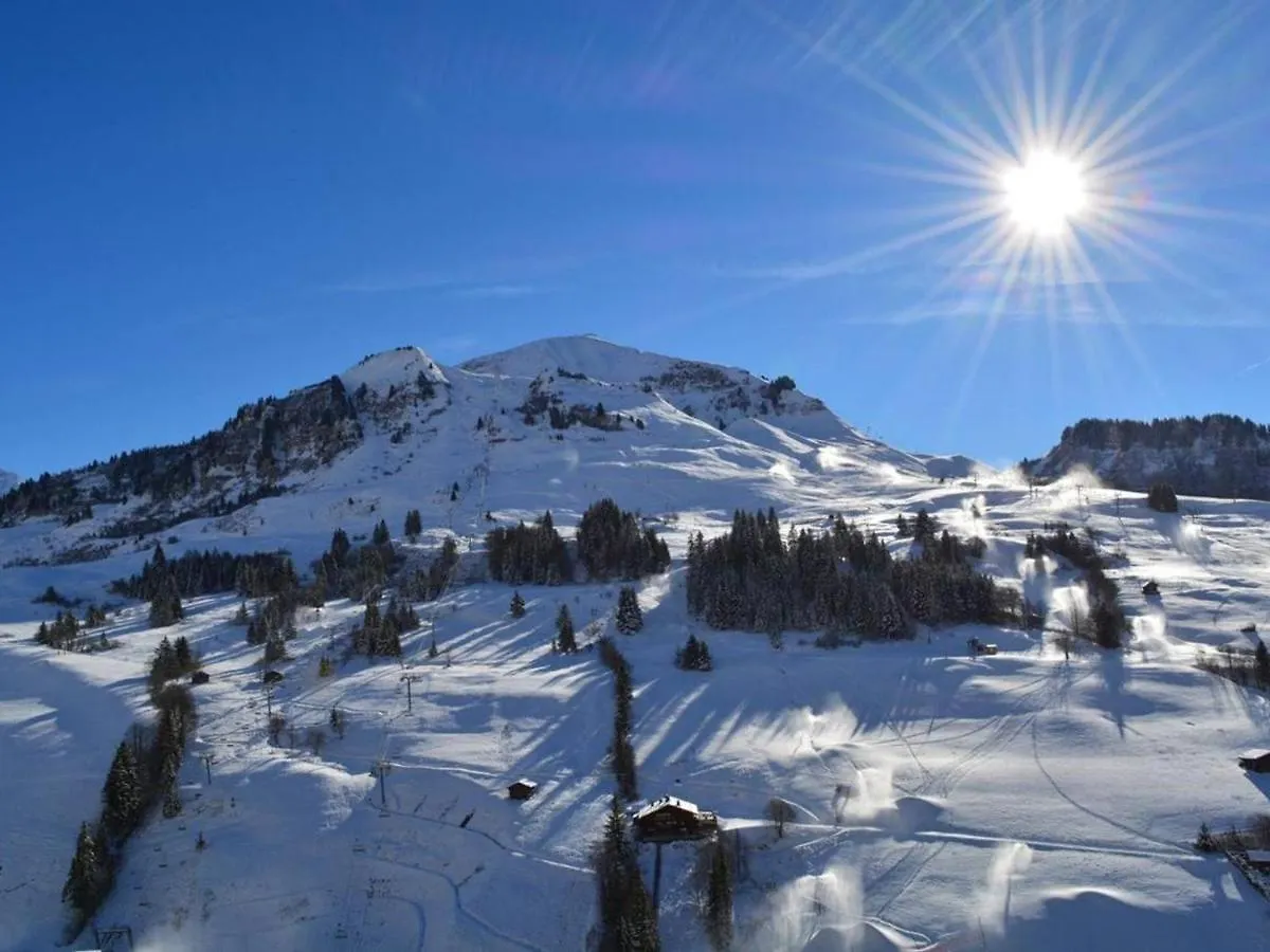 르그랑보르낭 Appt Avec Cheminee, Balcon Sud Et Parking Au Grand-Bornand - Fr-1-241-213 아파트 0*,  프랑스